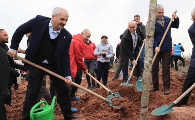 Gebze'de fidanlar toprakla buluştu